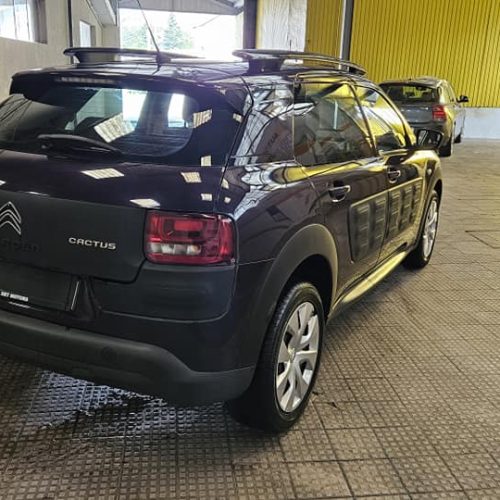 463000753_1156140752704014_4920188960640271593_n