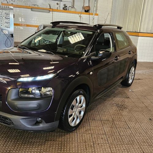 463068068_1156142419370514_4837164698917321594_n