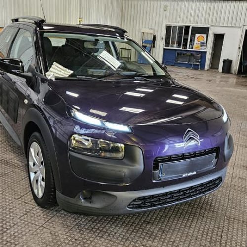 463124917_1156140469370709_8322759756810251943_n