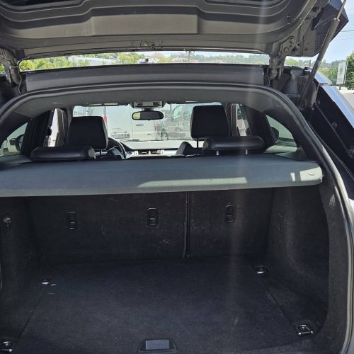 727465733_10215692602303927_696272133926744922_n